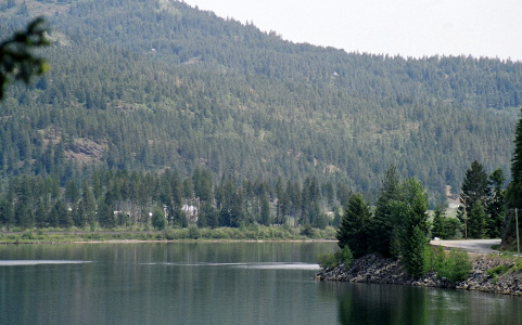 [The far shore is a very tall hillside covered with browning evergreens. The river is wide and curving around a bend on the right.]